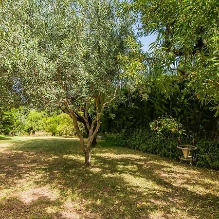 Ideal Mallorca - Reure